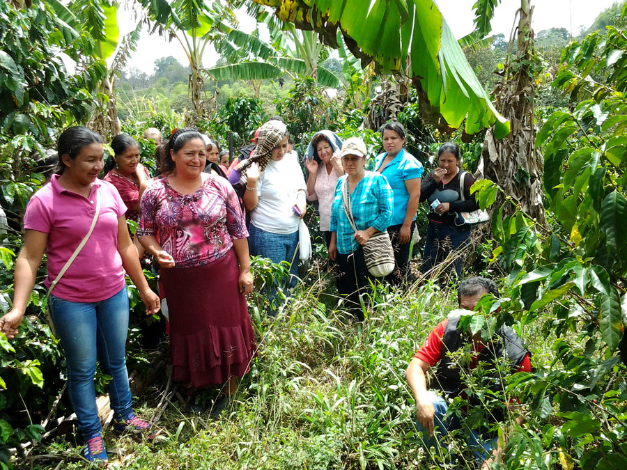 Colombia Mujeres Del Cauca